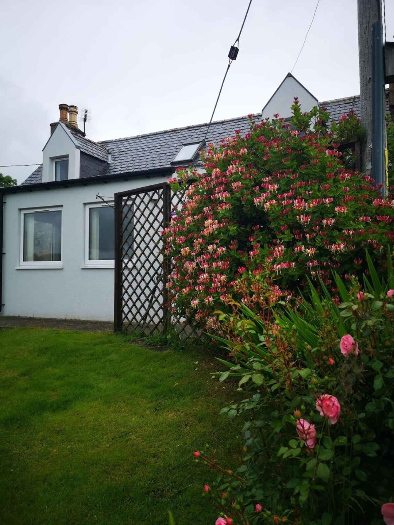 Mike'S 3-Bedroom Countryside Cottage アルネス エクステリア 写真